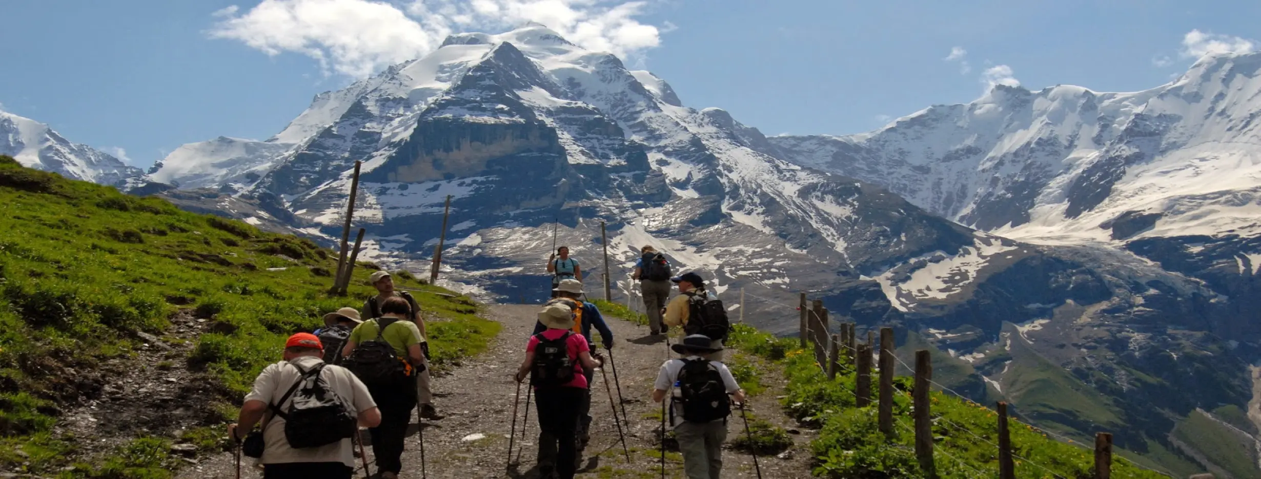 Image for Swiss Alps Hiking